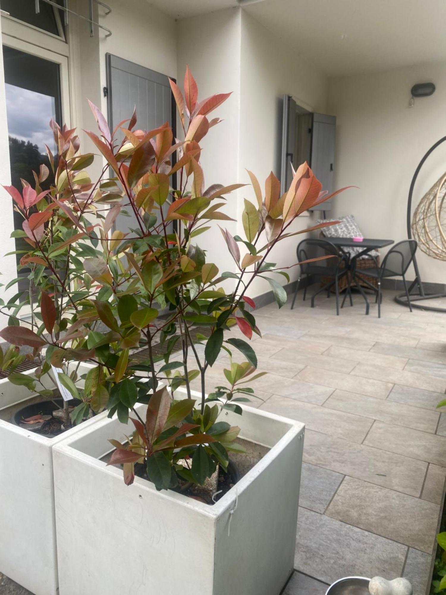 Apartment Lake View مالتشيزينيه المظهر الخارجي الصورة